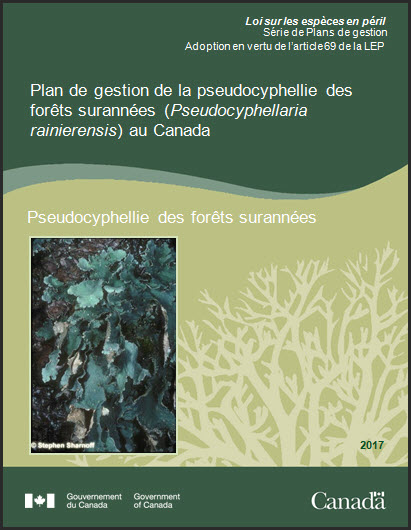 Plan de gestion la pseudocyphellie des forêts surannées