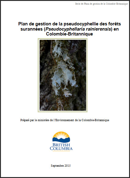 Plan de gestion la pseudocyphellie des forêts surannées
