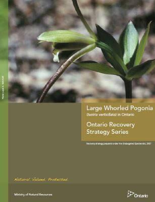 Cover of publication: Provincial - Part 2