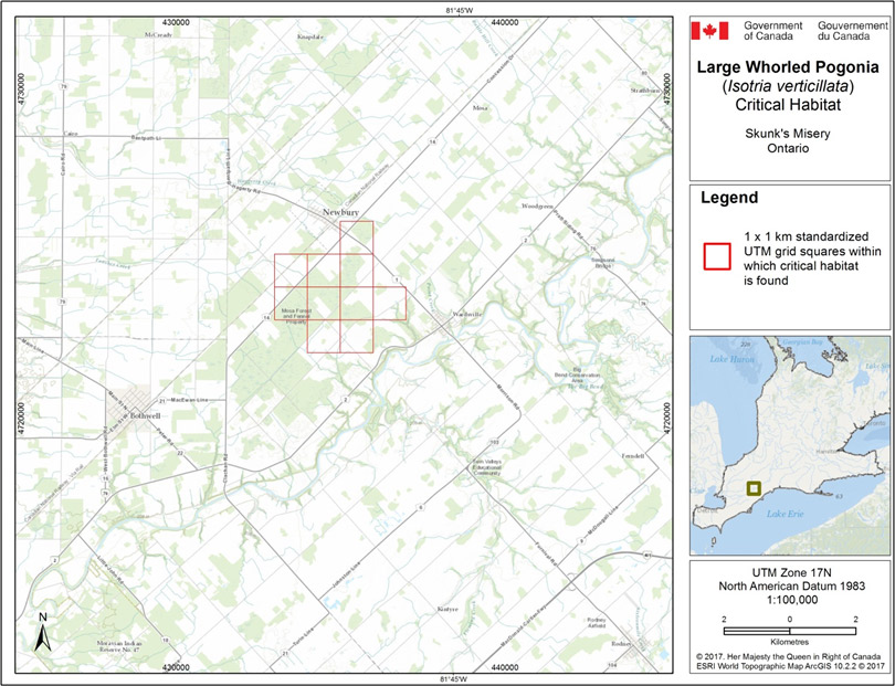 Ontario Map: Critical habitat for Large Whorled Pogonia (See long description below)