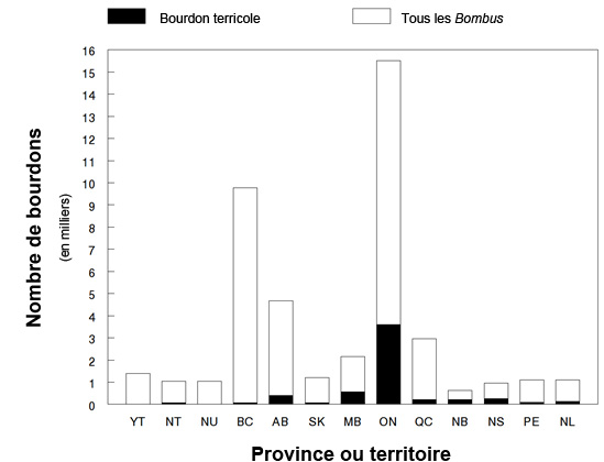Abondance relative par rapport au nombre total capturés.