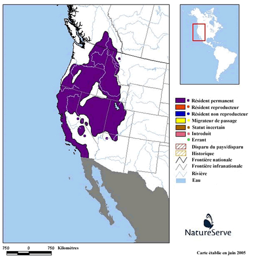 Figure 1. Répartition du scinque de l’Ouest en Amérique du Nord (Voir description longue ci-dessous.)