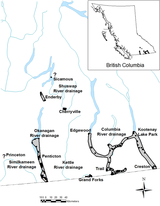 Figure 2 shows the range of the Western Skink in British Columbia. (See long description below)