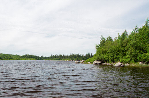 Riverine habitat of the  post-glacial Lake Agassiz subpopulation