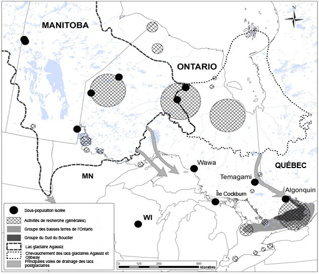 Répartition  du L. rivulare au Canada,  divisée en trois groupes