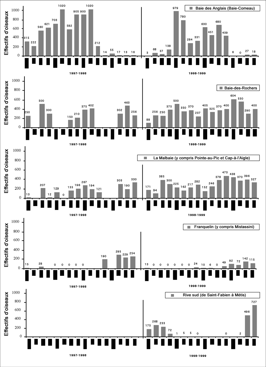 Graphiques représentant les effectifs maximums de Garrots d’Islande recensés à des endroits précis durant les hivers de 1997 à 1998 et de 1998 à 1999.