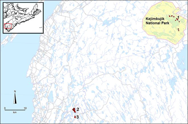 Distribution of Water Pennywort (Hydrocotyle umbellata)