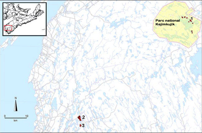 Carte des États-Unis et du Canada