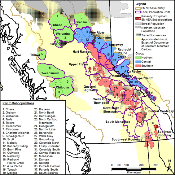 This figure is a map showing the locations in BC and Alberta of southern mountain caribou subpopulations and local population units. (See long description below)