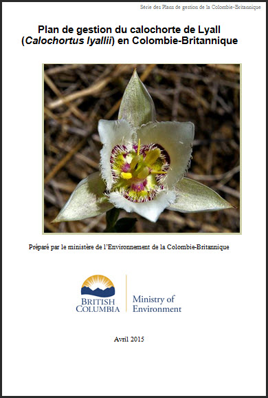 Plan de gestion du calochorte de Lyall