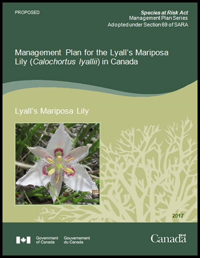 Photo of document cover