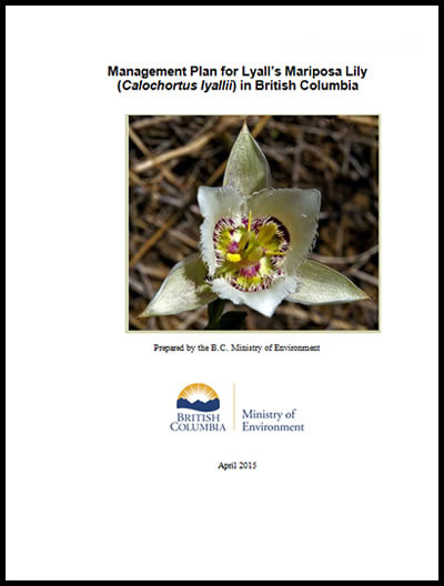 Cover photo of document