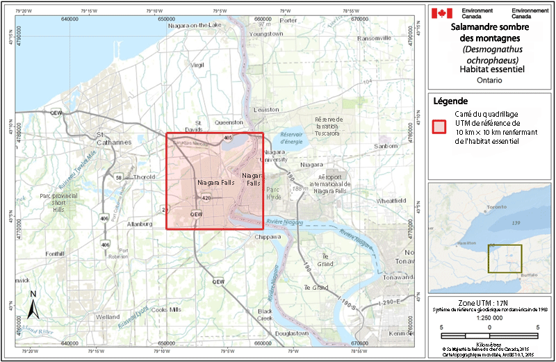 Carrés du quadrillage UTM renfermant de l’habitat essentiel 