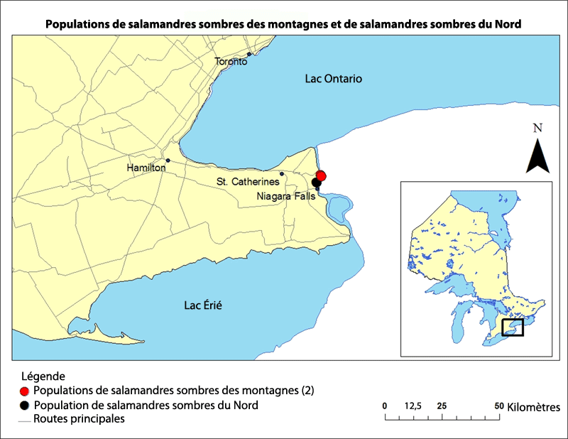 Aires de répartition de la salamandre sombre des montagnes 