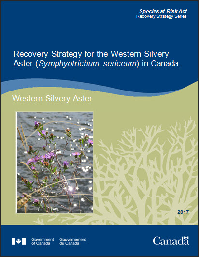 Recovery Strategy for the Western Silvery Aster