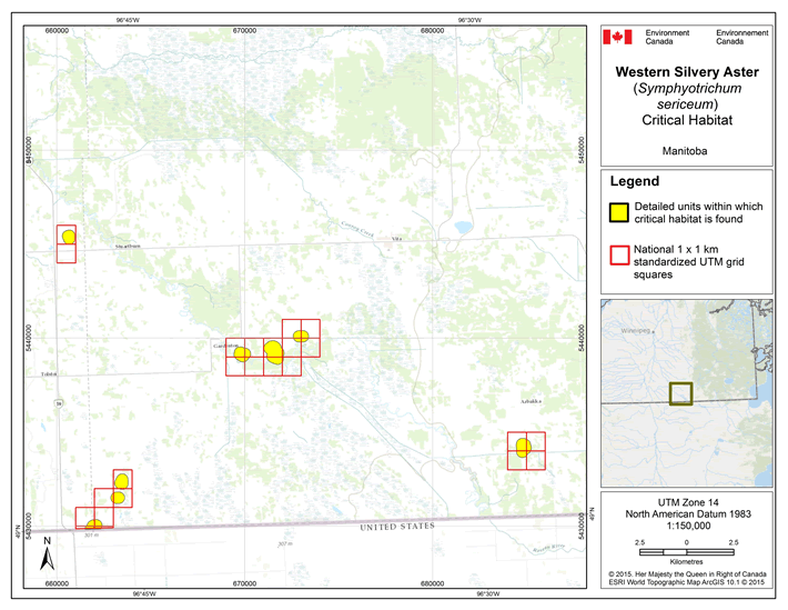Map: Critical habitat for Western Silvery Aster in Manitoba