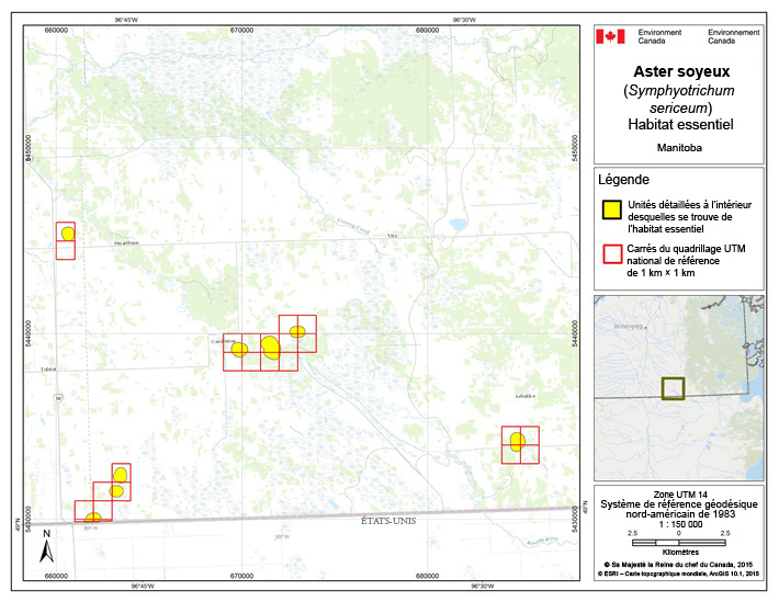Carte : L'habitat essentiel de l'aster soyeux au Manitoba
