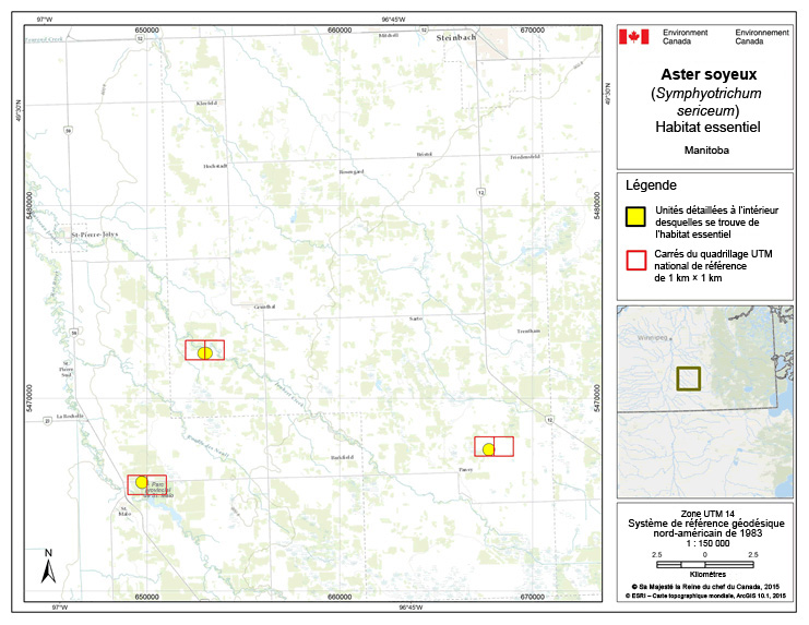 Carte : Manitoba, Grunthal, et Pansy Nord