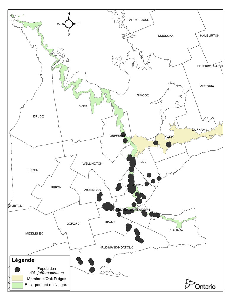 La description de cette image suit