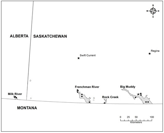 Canadian distribution of the Eastern Yellow-bellied Racer