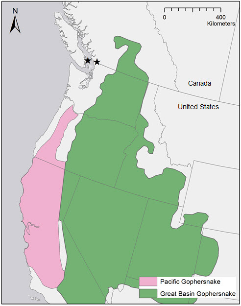 Approximate current range of the Pacific Gophersnake