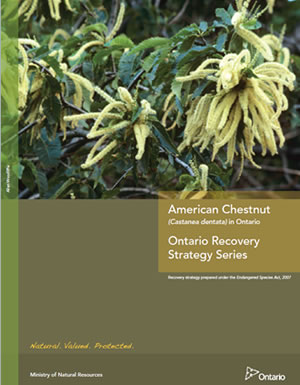 Cover of publication - Ontario