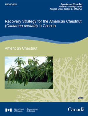 Cover of publication - Federal