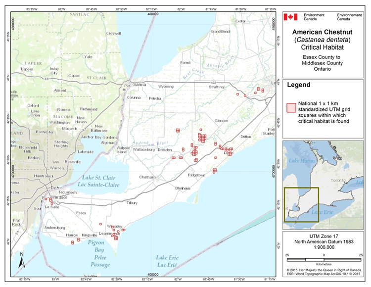 Map: Grid squares that contain critical habitat for the American Chestnut in Canada