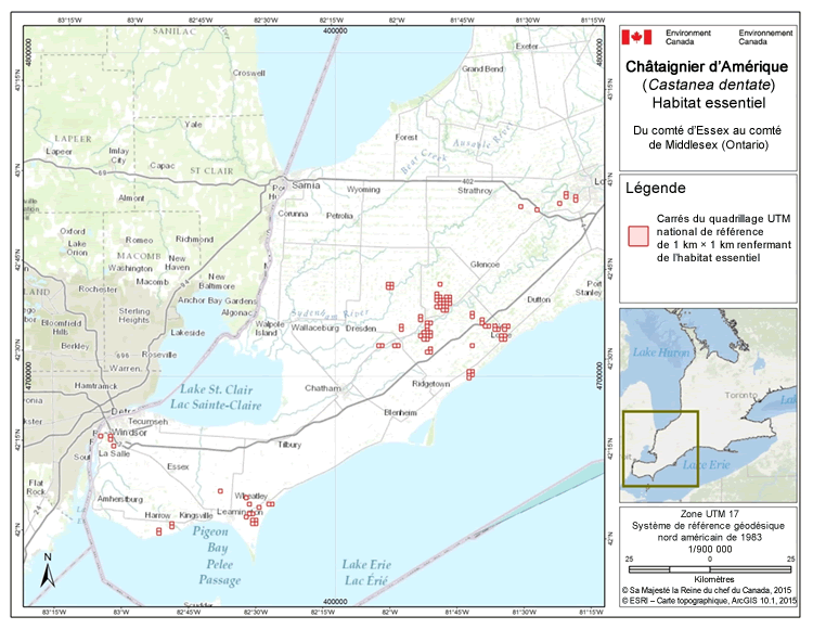Carte : Carrés du quadrillage renfermant l'habitat essentiel du châtaignier d'Amérique au Canada