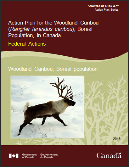 Action Plan for the Woodland Caribou