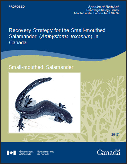 Recovery Strategy for the Small-mouthed Salamander