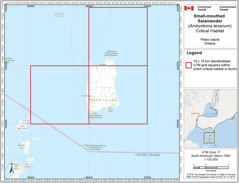 Grid squares that contain critical habitat for the Small-mouthed Salamander in Canada