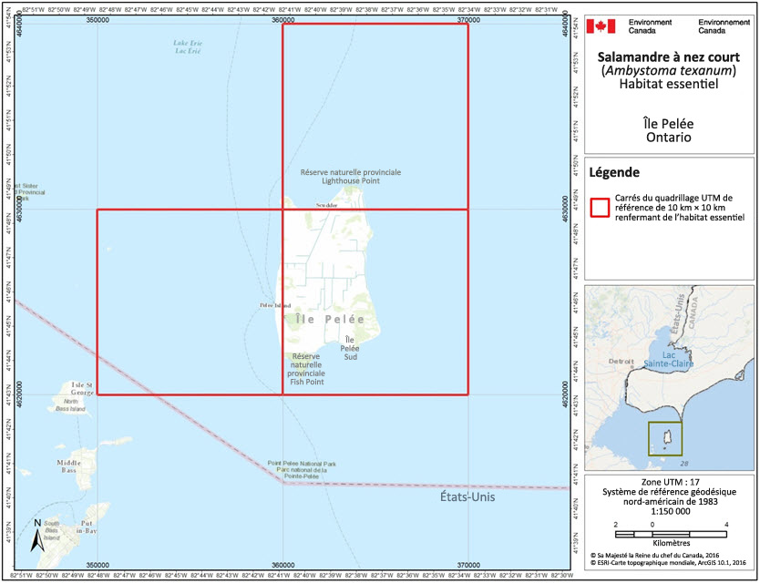 Carrés du quadrillage UTM renfermant de l'habitat essentiel de la salamandre à nez court au Canada