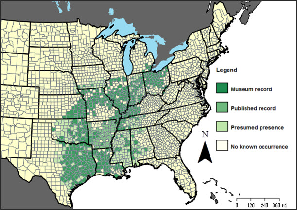 Historical range of Small-mouthed Salamander in the United States