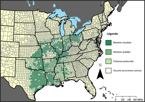Aire de répartition historique de la salamandre à nez court aux États Unis
