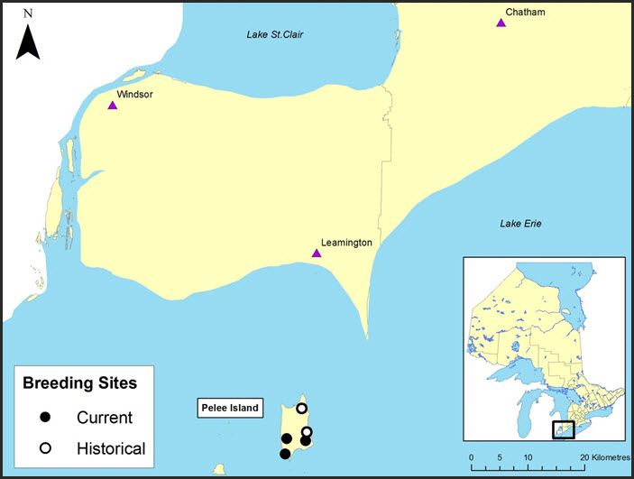 Historical and current breeding sites of Small-mouthed Salamander in Ontario