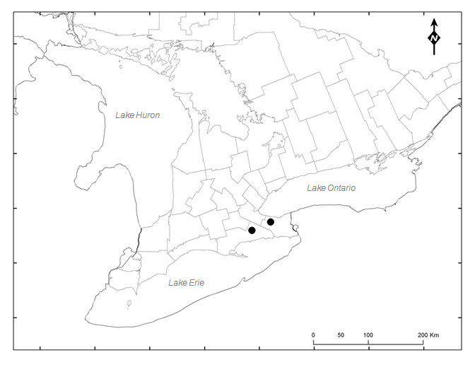 Description of this image follows