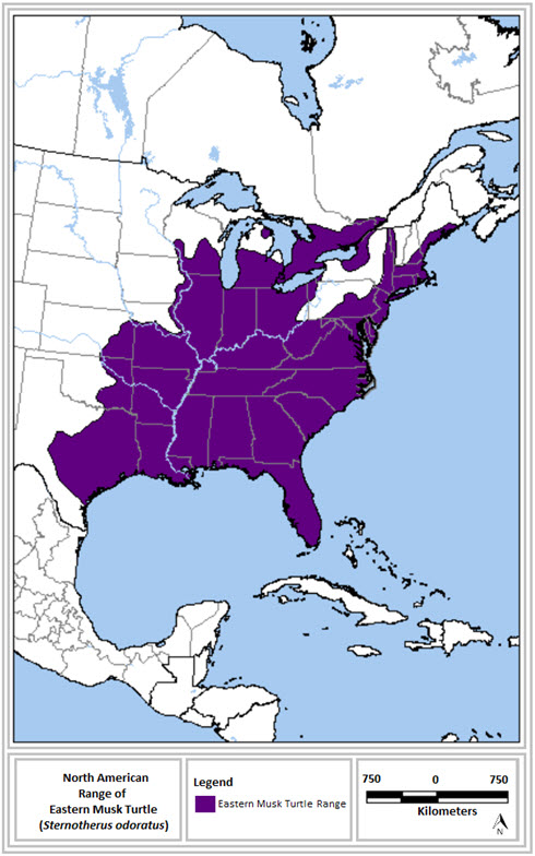 Distribution of the Spotted Turtle in North America