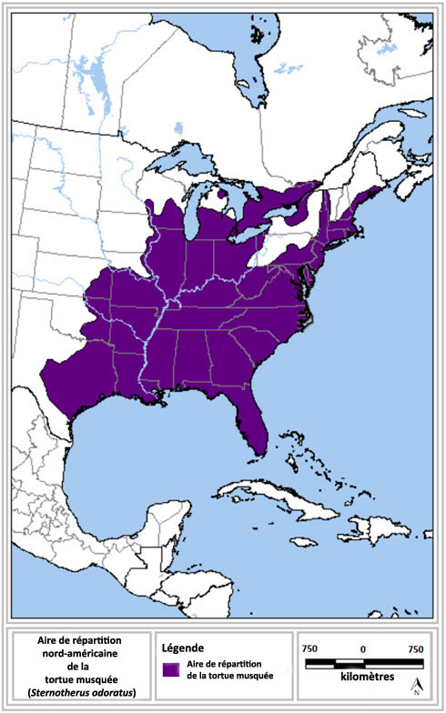 Aire de répartition nord-américaine de la tortue musquée