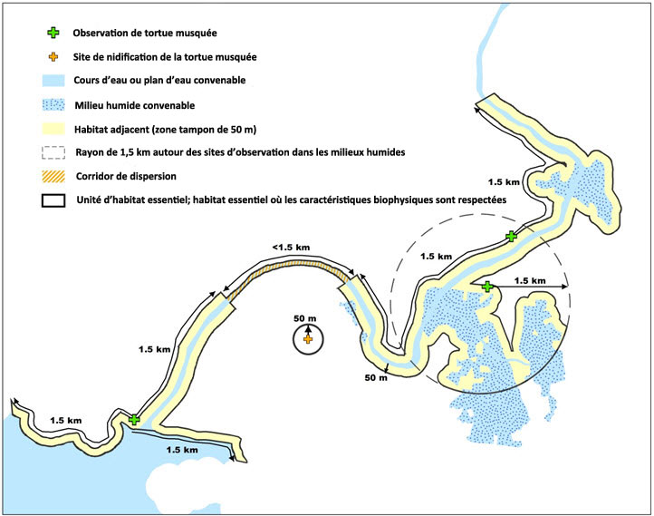 Aire de répartition de la tortue des bois en Amérique du Nord