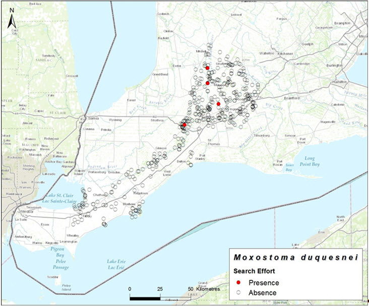 Index of area of occupancy (IAO) (2004-2013)