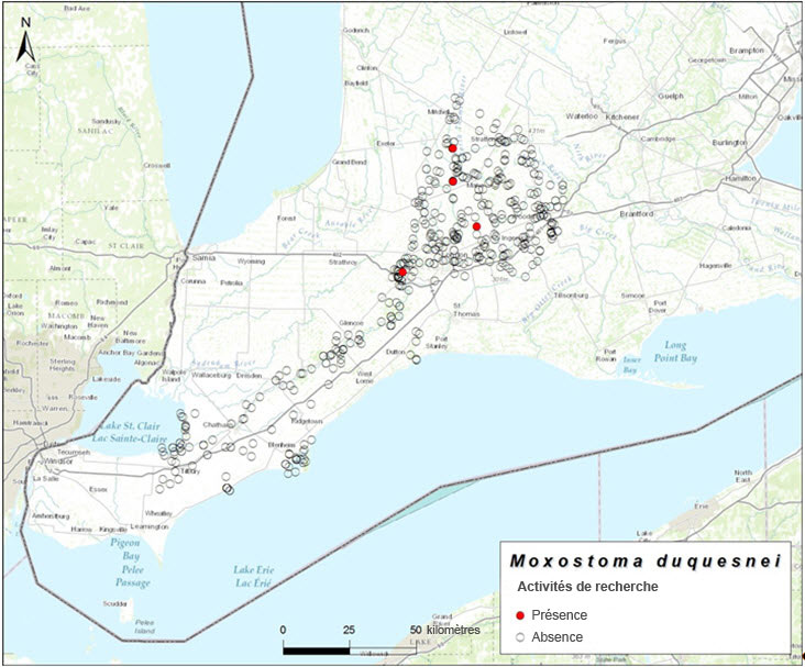 Index of area of occupancy (IAO) (2004-2013)