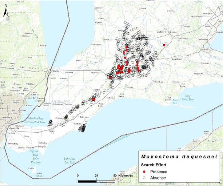 Index of area of occupancy (IAO) (2004-2013)