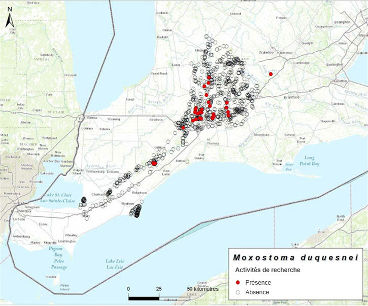 Index of area of occupancy (IAO) (2004-2013)