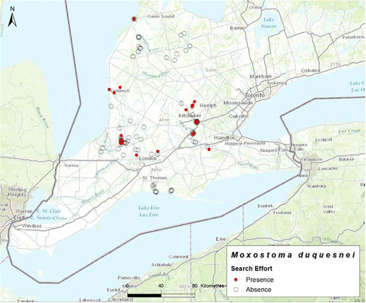 Index of area of occupancy (IAO) (2004-2013)