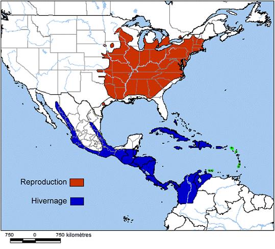 Figure 1. Répartition relative à la reproduction et à l’hivernage de la Paruline hochequeue (de Ridgely et al., 2003).
