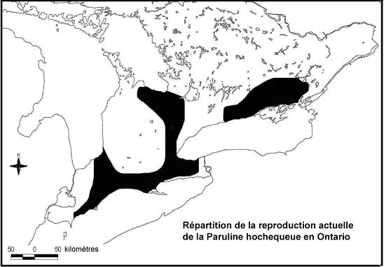 Figure 2. Répartition de la reproduction de la Paruline hochequeue en Ontario (2001-2004).