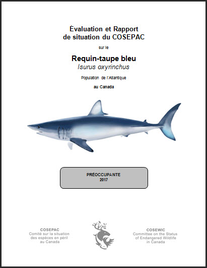 Évaluation et rapport de situation du COSEPAC sur le Requin-taupe bleu