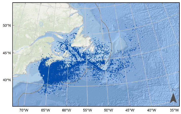 Combined observations of Shortfin Mako in Canadian waters