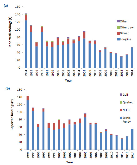 Canadian reported Shortfin Mako landings
